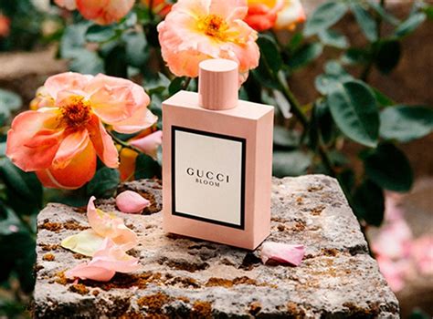 perfume gucci bloom mujer precio|Gucci Bloom perfume smell.